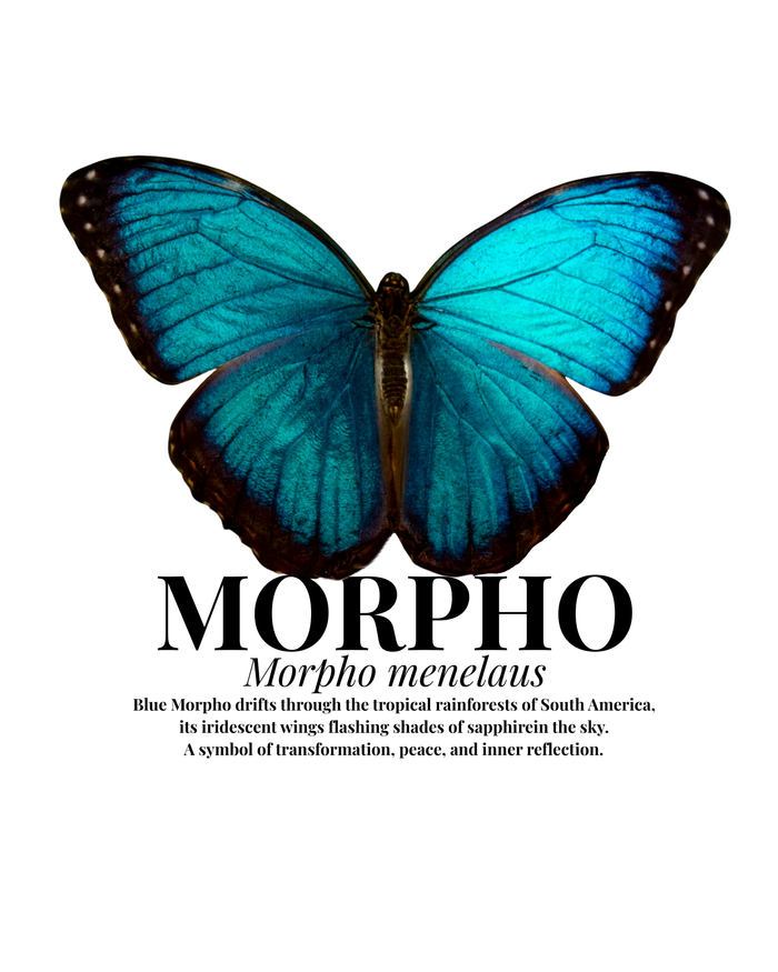 Polera Morpho Menelaus
